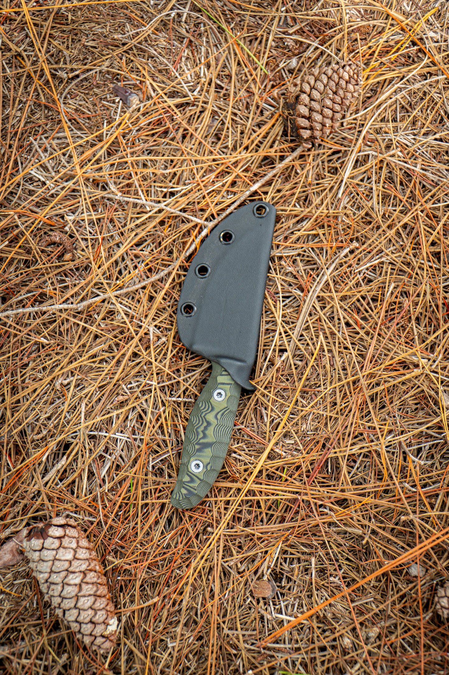 The Duchess - Green & Black