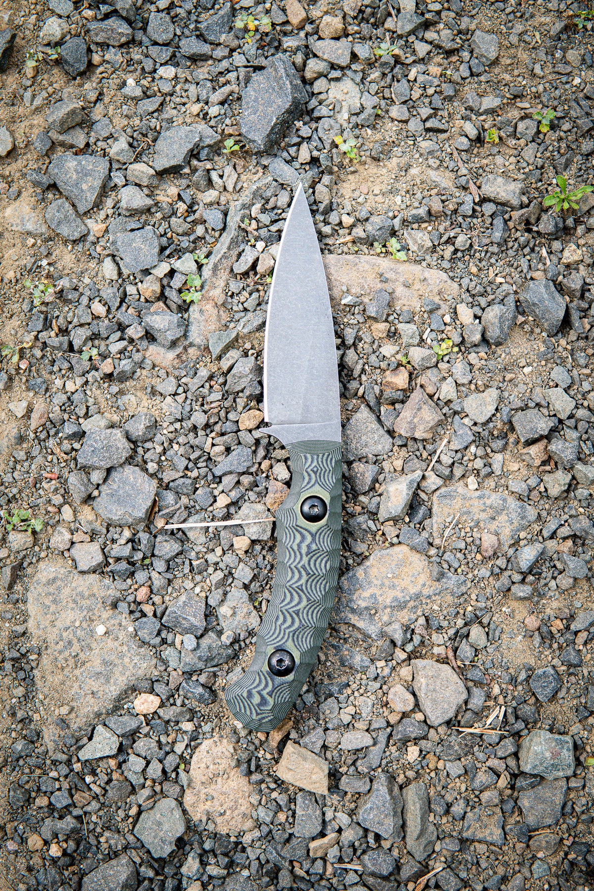 The Talon - Green & Black
