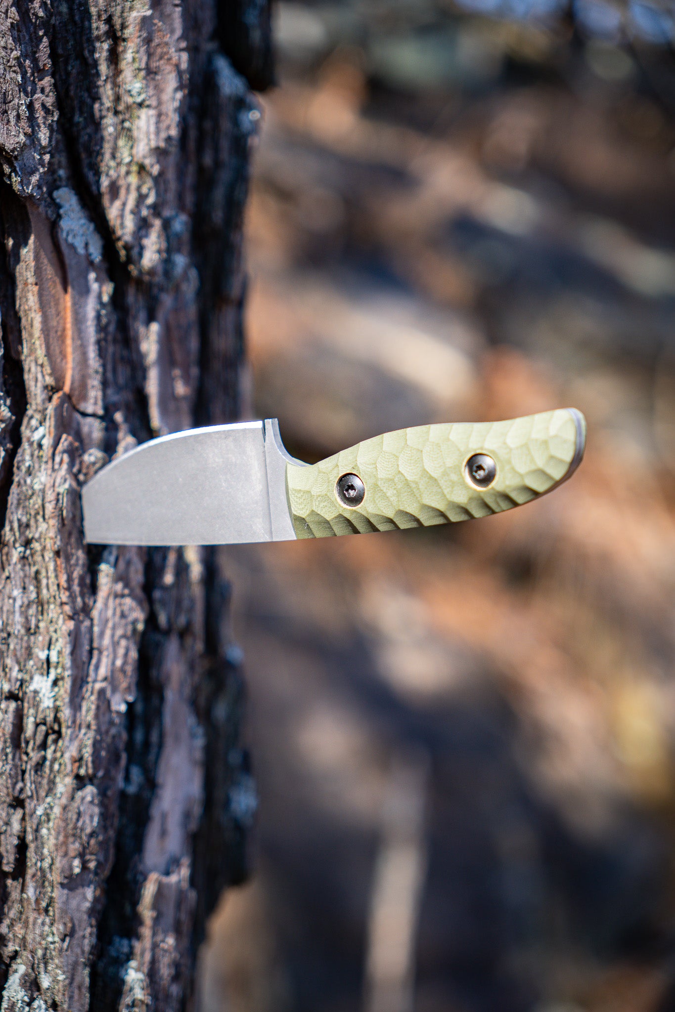 The Duchess 2.0 - Green