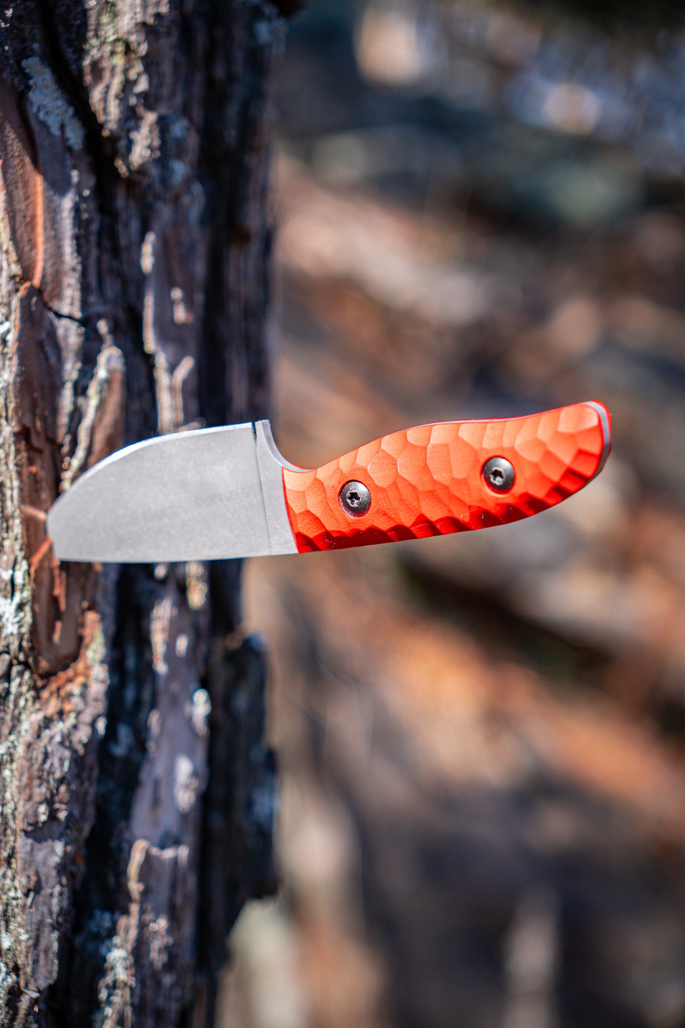 The Duchess 2.0 - Red