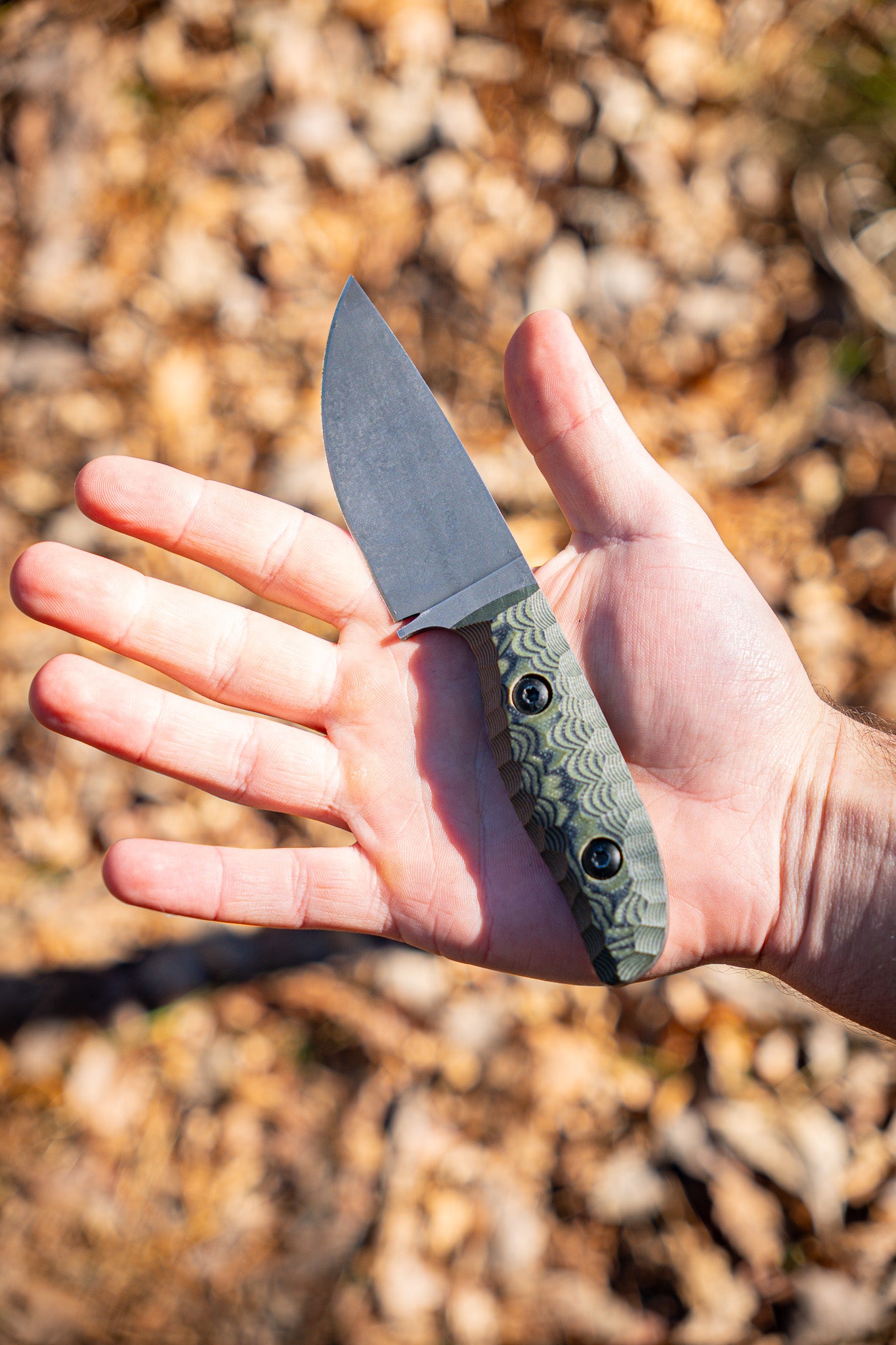 The Duchess 2.0 - Green & Black