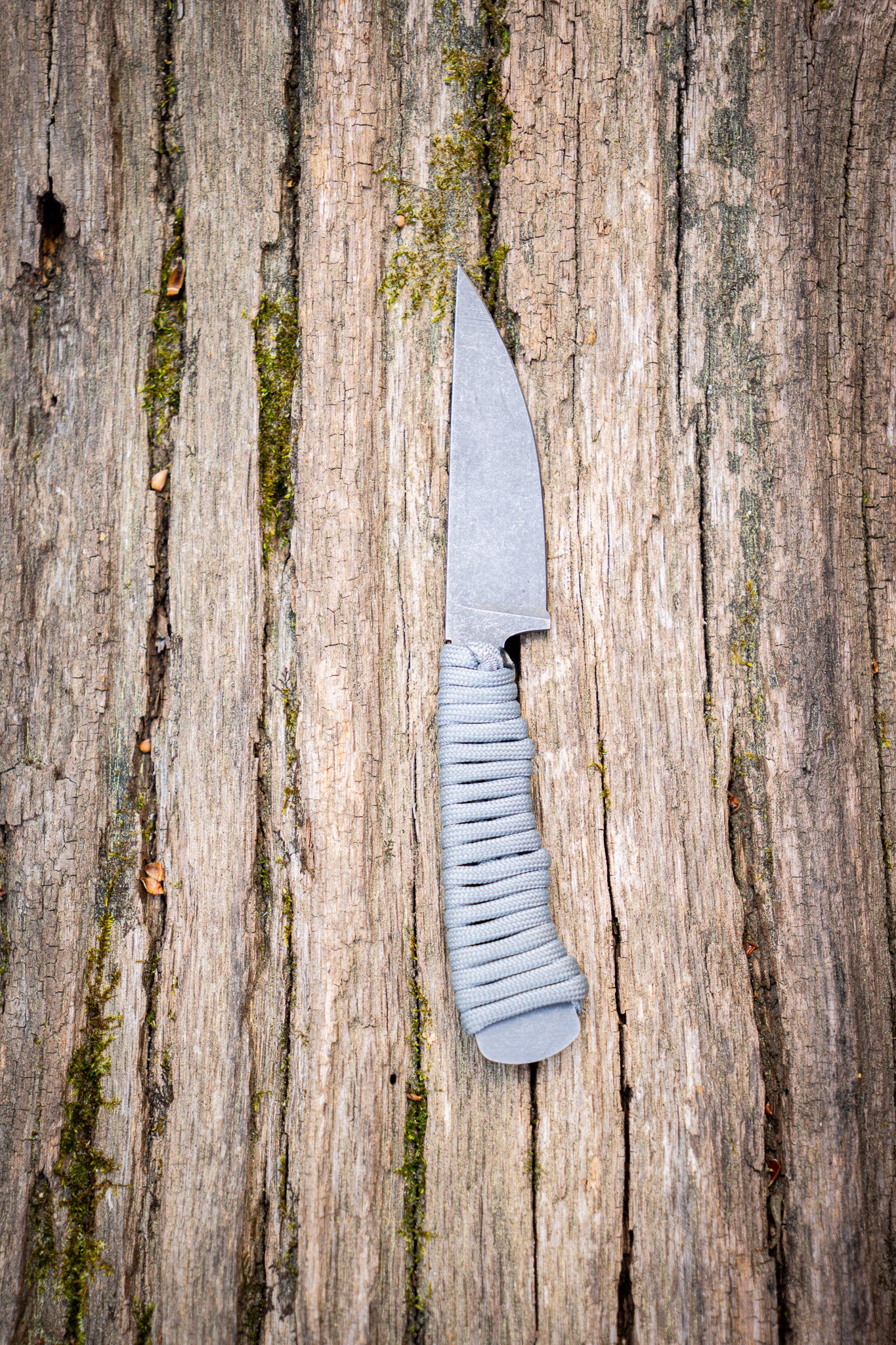 The Blackbuck - Rhino Gray