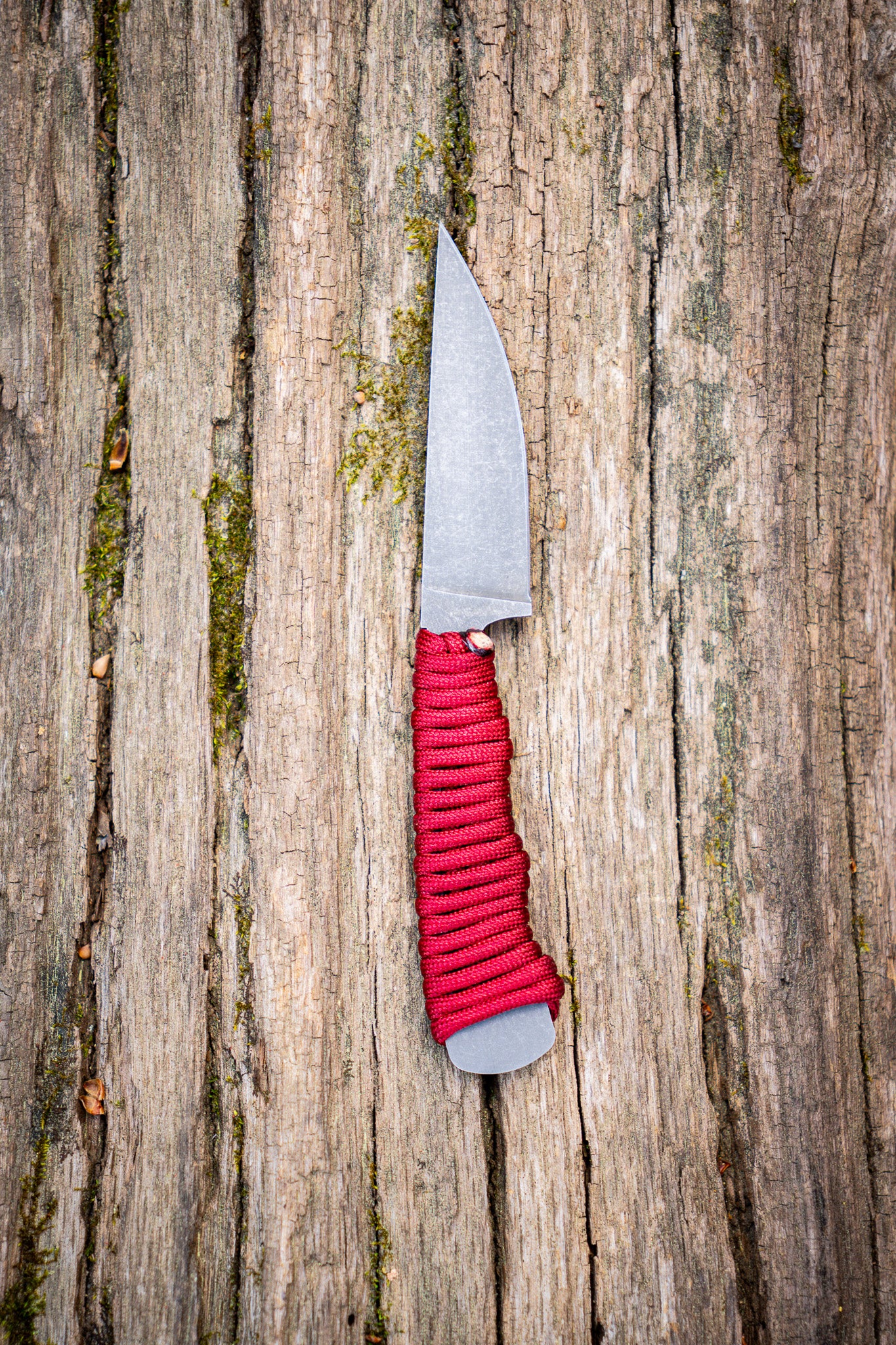 The Blackbuck - Crimson Red