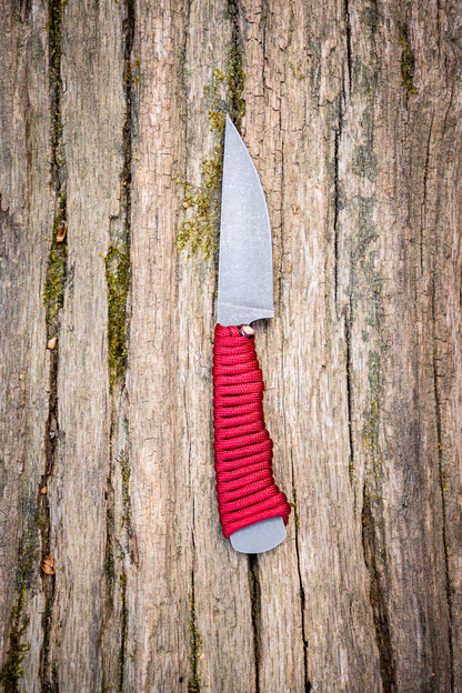 The Blackbuck - Crimson Red