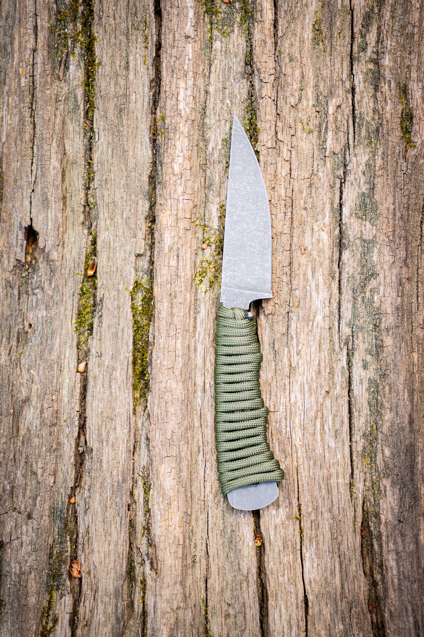 The Blackbuck - Olive Green