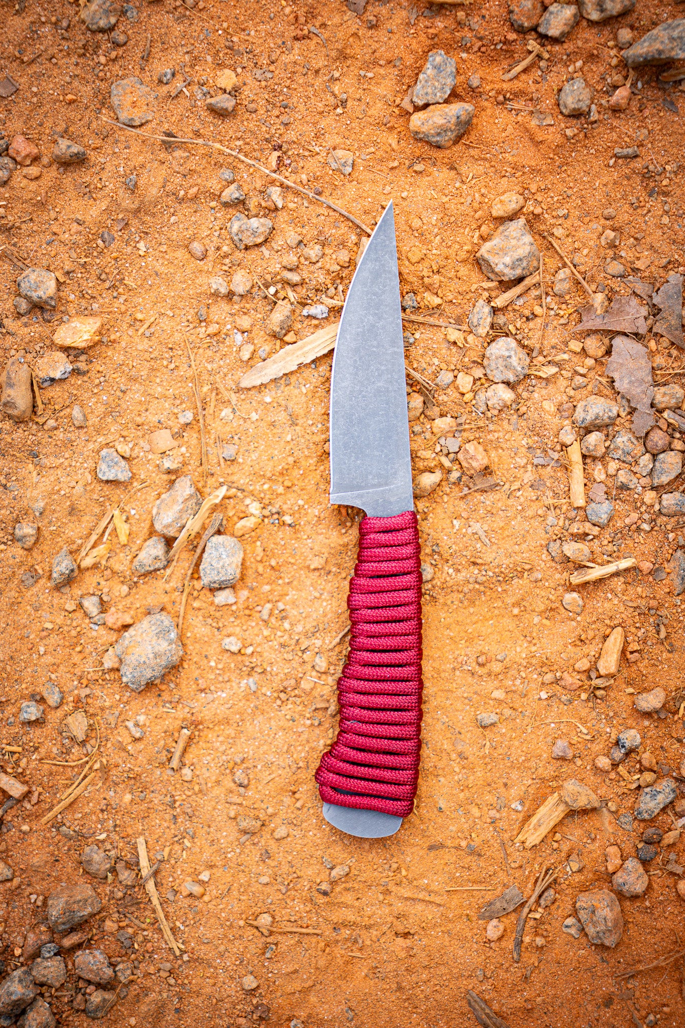 The Blackbuck - Crimson Red